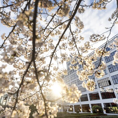 Two Reynaers Aluminium installers dismantling old windows on site.