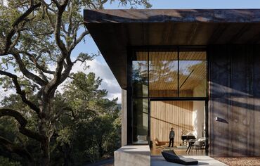  Modern concrete villa in forest